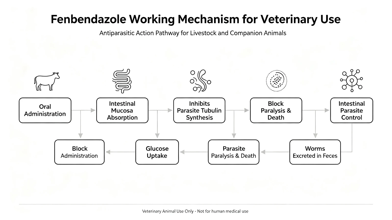 FENBENDAZOLE MECHANISM FENBENDAZOLE MECHANISM